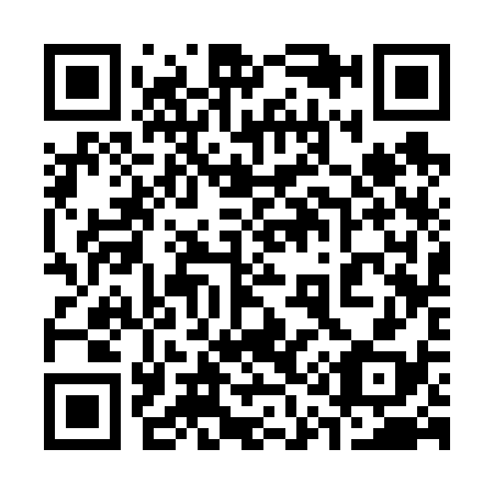 QR code for 313638