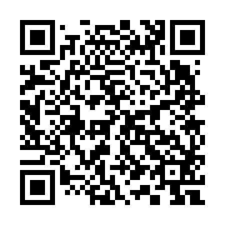 QR code for 313682