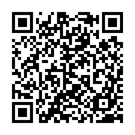 QR code for 313767