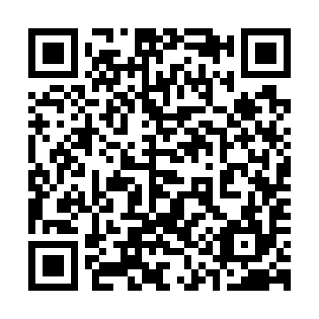 QR code for 313794