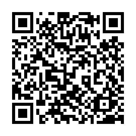 QR code for 313DZS