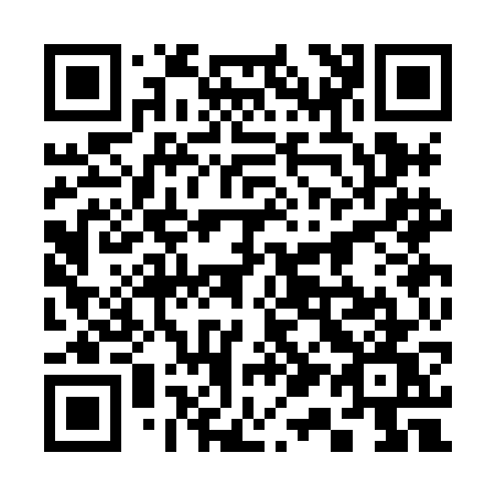 QR code for plate 313-HGW