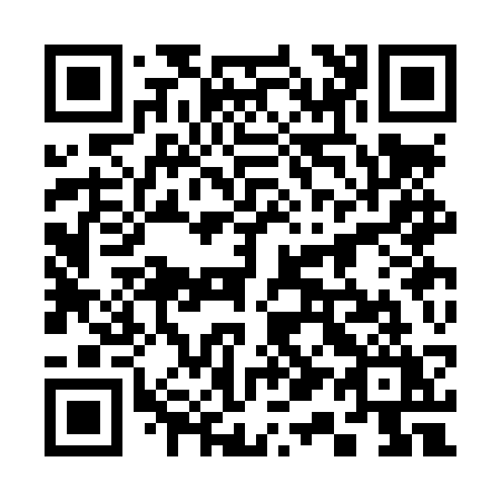 QR code for plate 313-LSY