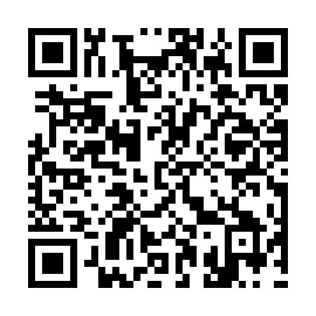 QR code for 313SDY