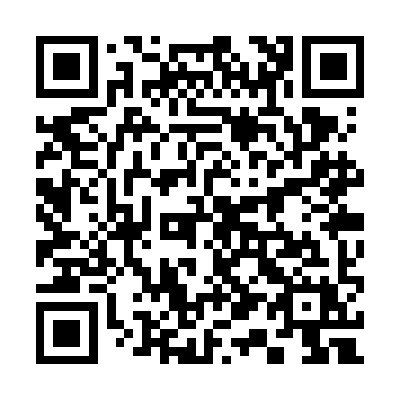 QR code for 313VIX
