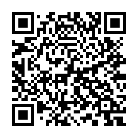 QR code for 313ZSF