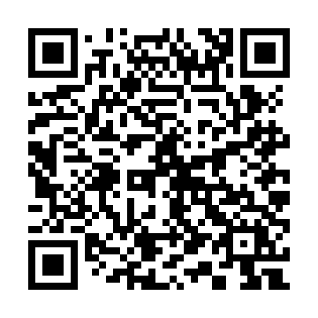 QR code for plate 316-JDX