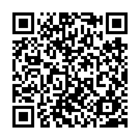 QR code for plate 316-VSN