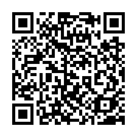 QR code for 317-GUI