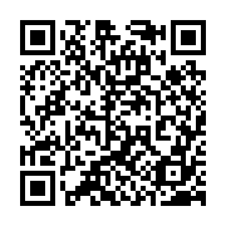 QR code for 317272