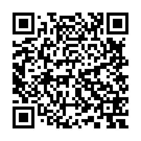 QR code for 317868
