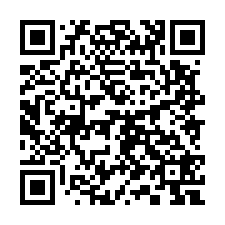 QR code for 318528