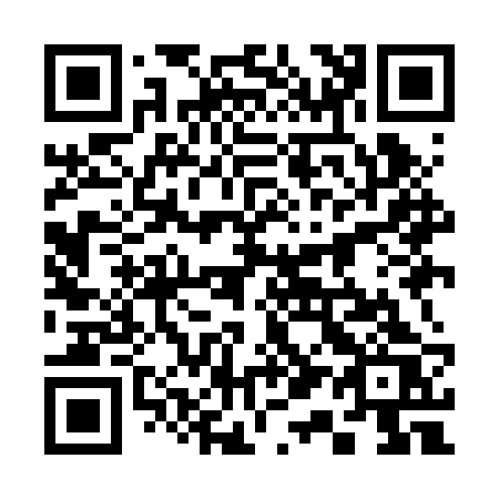 QR code for plate 319-BRS