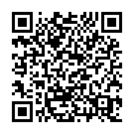 QR code for plate 325-IBB