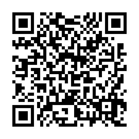 QR code for 328636