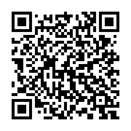 QR code for plate 330-FJF