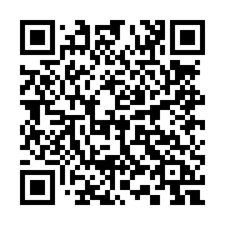 QR code for plate 331-LUB