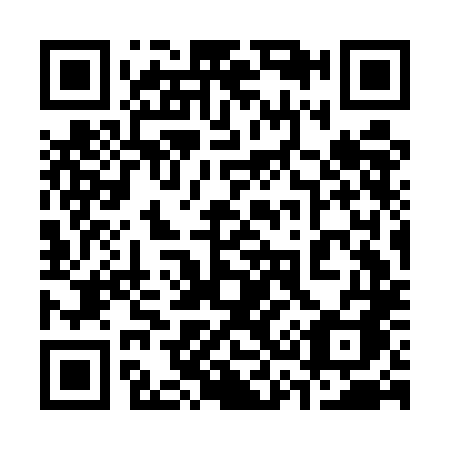 QR code for 333-ELA