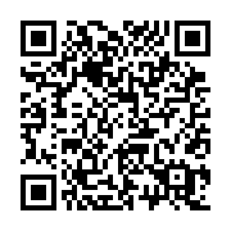 QR code for 333-SDE