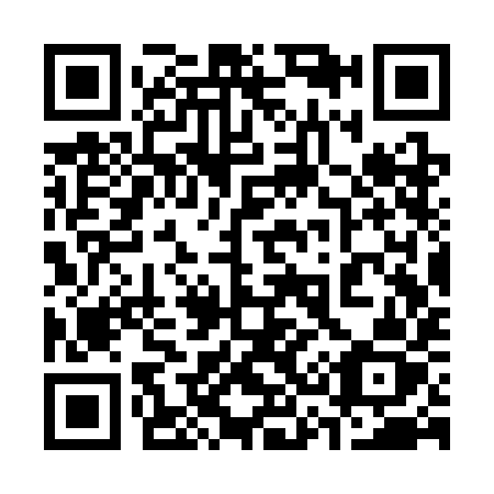 QR code for 333-SIZ