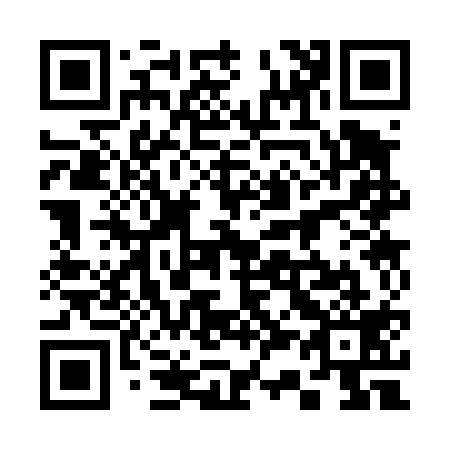 QR code for 333419