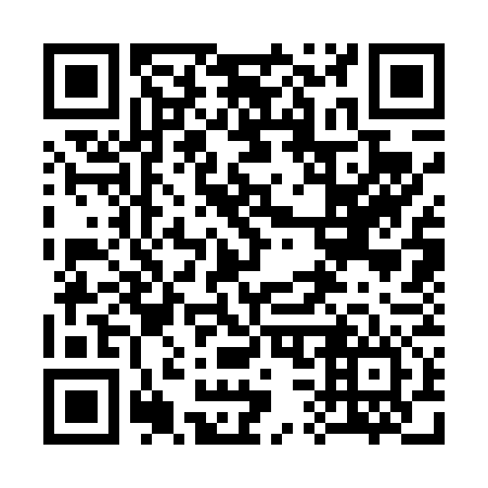 QR code for 333476