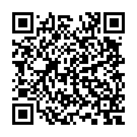 QR code for 333496