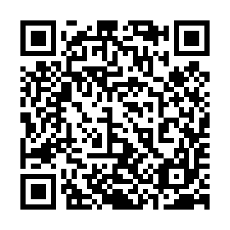 QR code for 333497