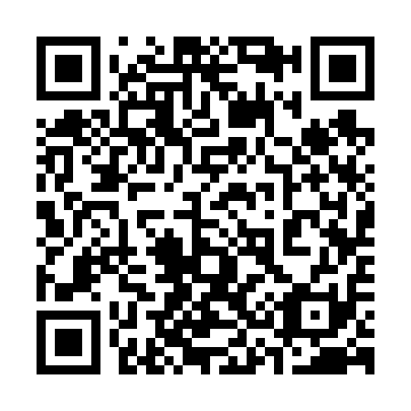 QR code for 333611