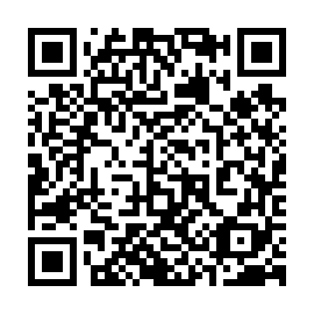 QR code for 333668
