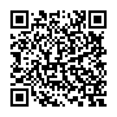 QR code for 333853