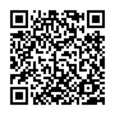 QR code for plate 333-RKT