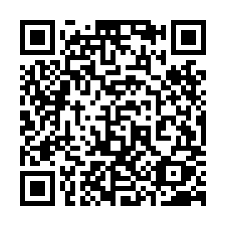 QR code for 335-LMY