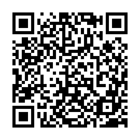 QR code for 335162