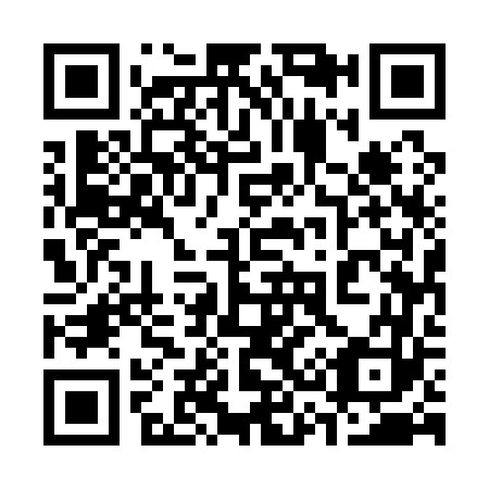 QR code for 335163