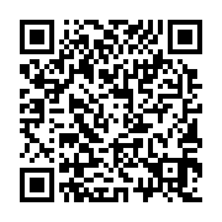 QR code for 335311