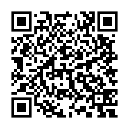 QR code for 335539