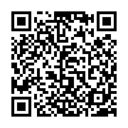 QR code for 335591