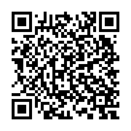 QR code for 335606