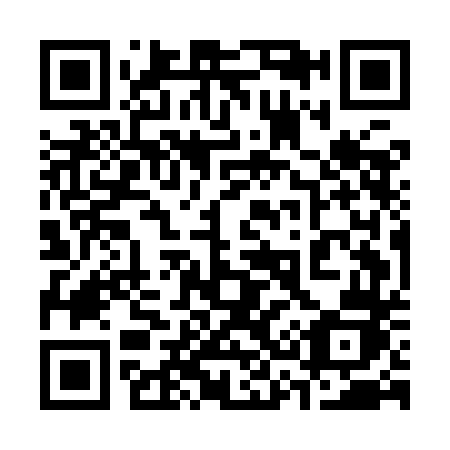 QR code for plate 335-IDJ
