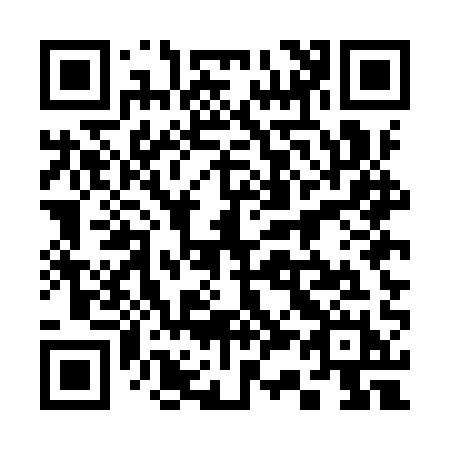 QR code for 335IQH