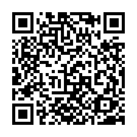 QR code for plate 335-JVX