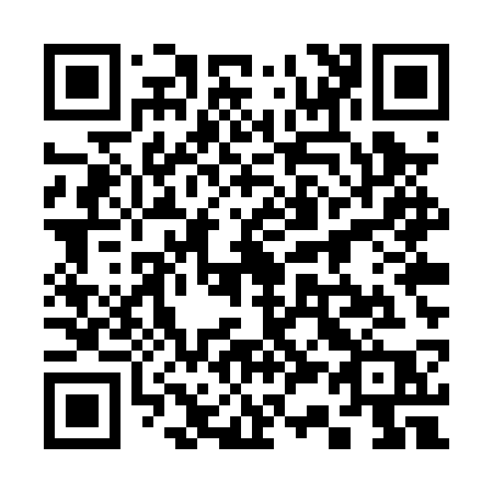 QR code for 335PSP