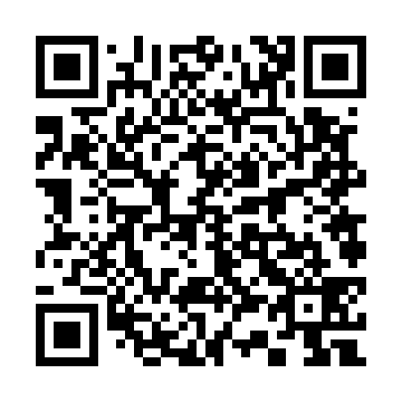 QR code for 336539
