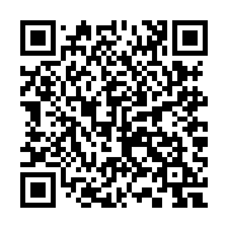 QR code for plate 336-HAE