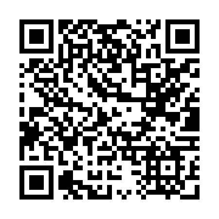 QR code for 336ZVO