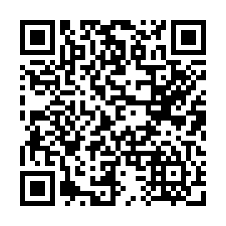 QR code for 338305