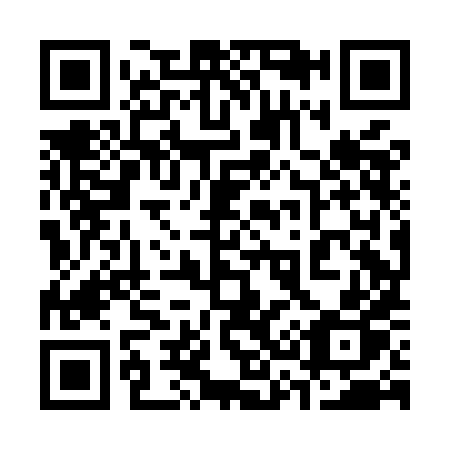 QR code for 338MHP