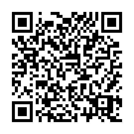 QR code for plate 339-RVR