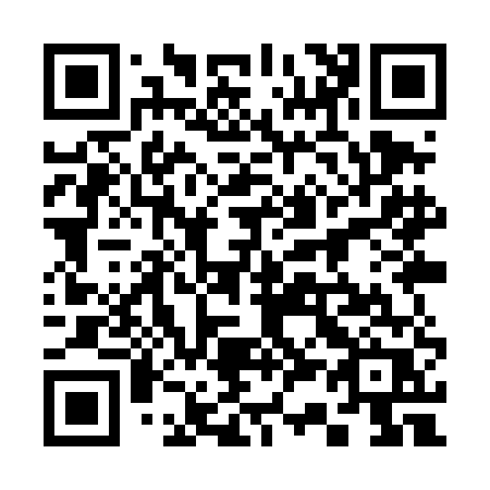 QR code for plate 339-TER